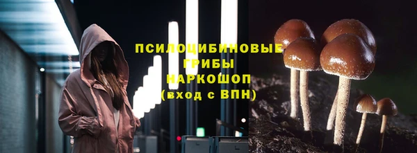 эйфоретик Алексеевка