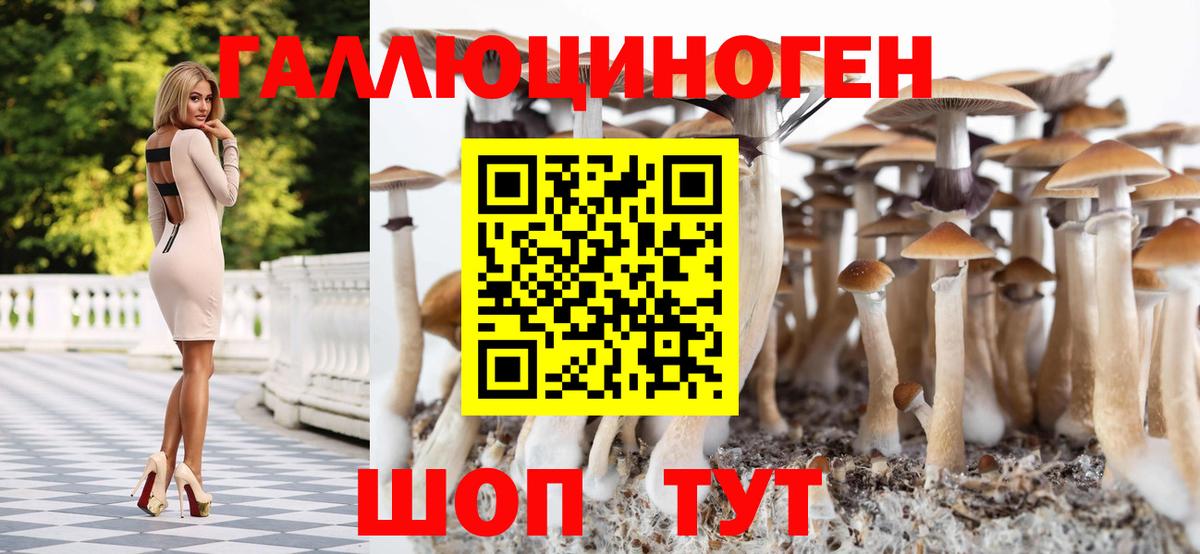 Галлюциногенные грибы MAGIC MUSHROOMS Урай
